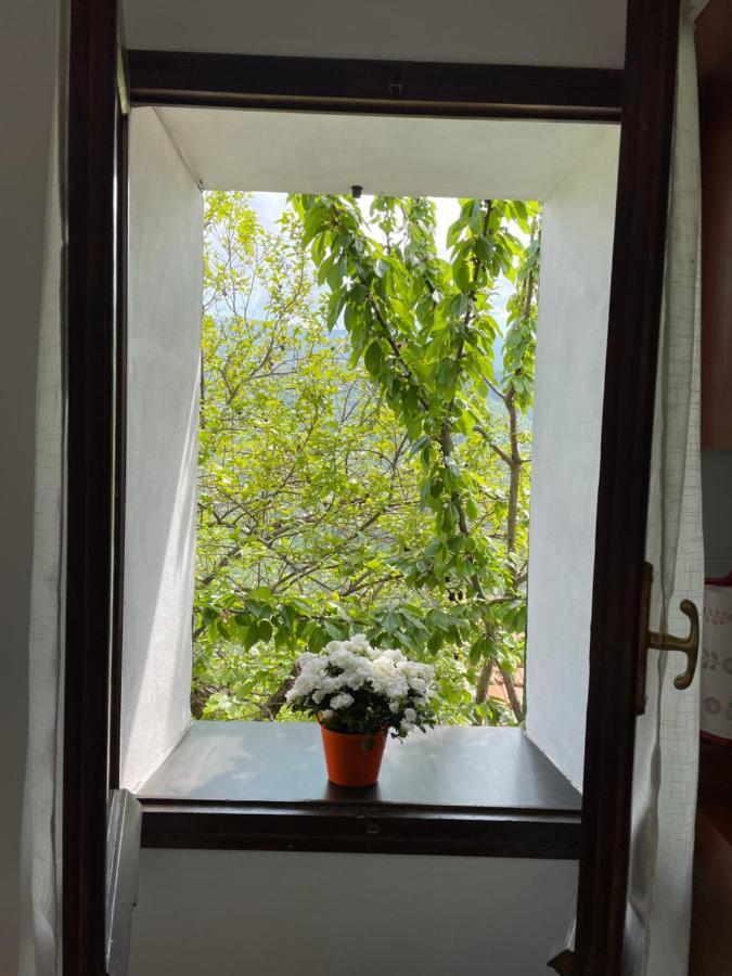 Apartament Casa Di Nonno Meme Citra 008035-Lt-0018 Andagna Zewnętrze zdjęcie